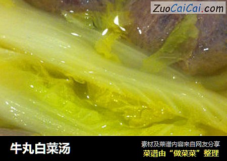 牛丸白菜汤