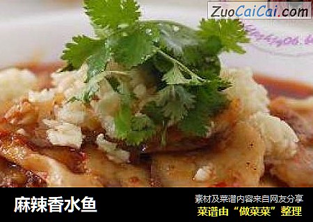 麻辣香水鱼