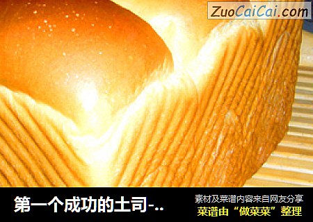 第一个成功的土司---全麦土司（中种法）