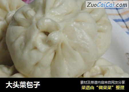 大头菜包子