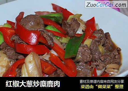 红椒大葱炒麋鹿肉