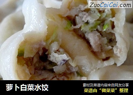 萝卜白菜水饺