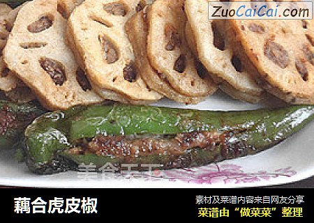 藕合虎皮椒
