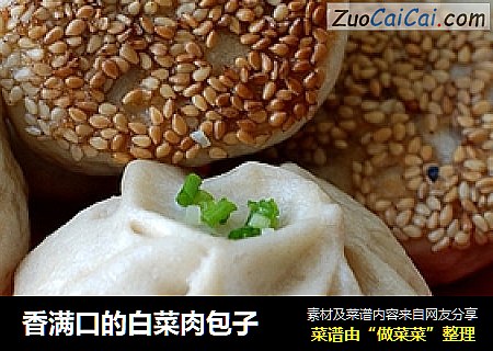 香满口的白菜肉包子