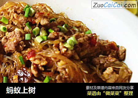 蚂蚁上树