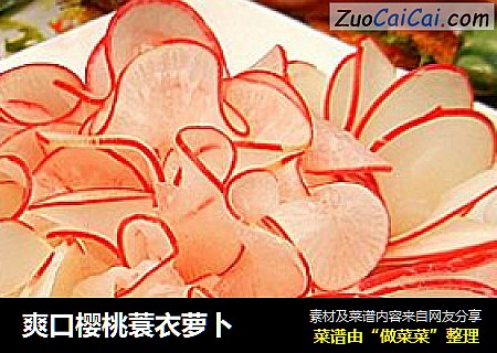爽口樱桃蓑衣萝卜