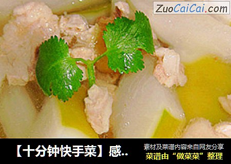 【十分钟快手菜】感冒食疗方-青萝卜肉片汤
