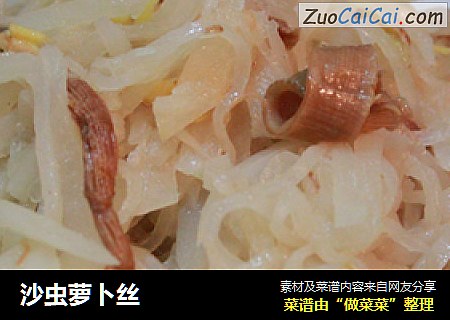 沙虫萝卜丝