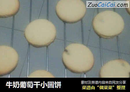 牛奶葡萄干小圆饼