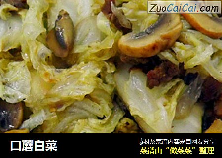 口蘑白菜