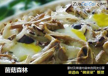 菌菇森林