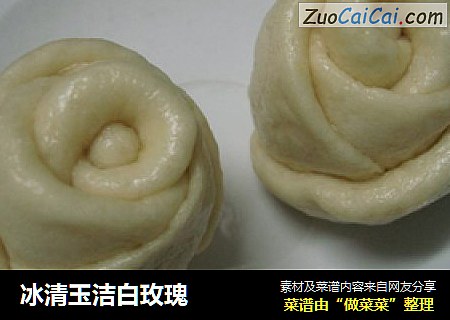 冰清玉洁白玫瑰
