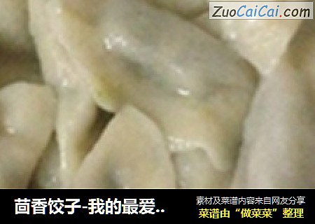 茴香饺子-我的最爱，家的感觉