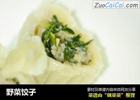 野菜饺子