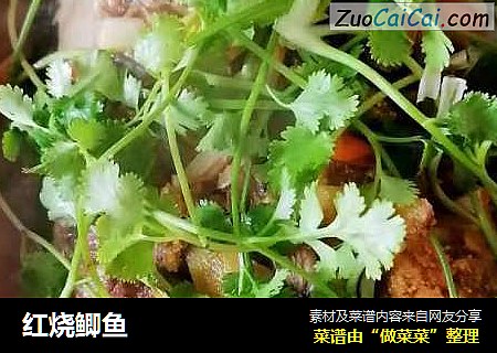 红烧鲫鱼
