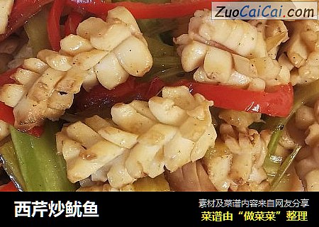 西芹炒鱿鱼