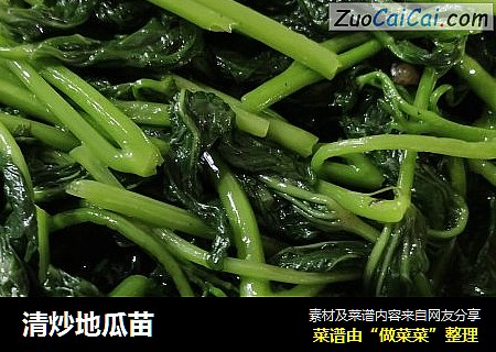 清炒地瓜苗
