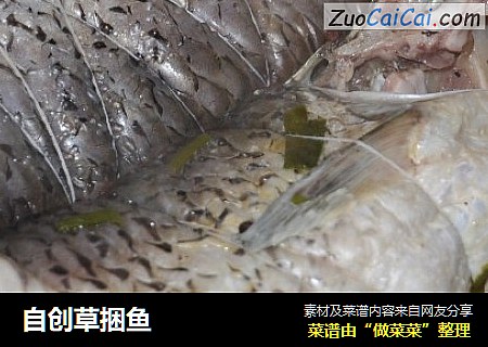 自创草捆鱼