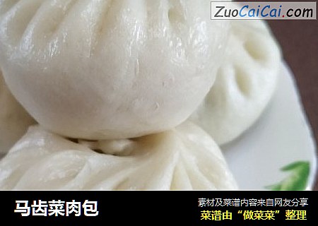 马齿菜肉包