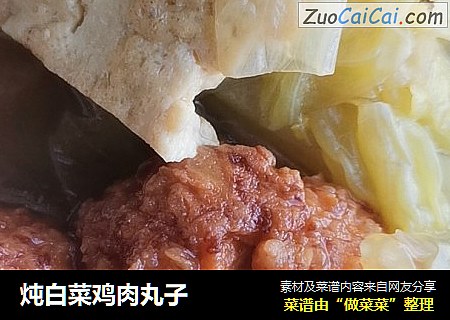 炖白菜鸡肉丸子