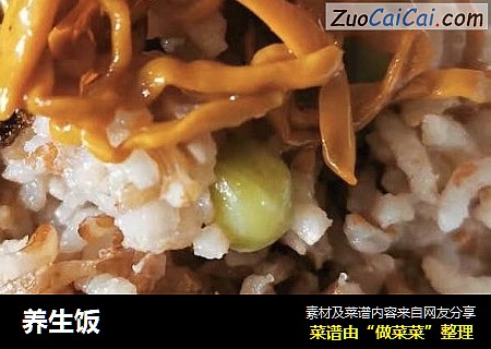 养生饭