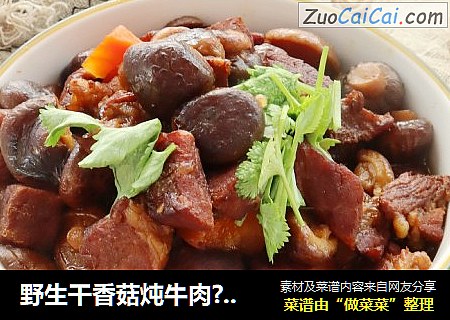 野生干香菇炖牛肉??肉质软烂??菌香十足