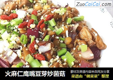 火麻仁鹰嘴豆芽炒菌菇