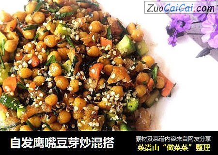 自发鹰嘴豆芽炒混搭