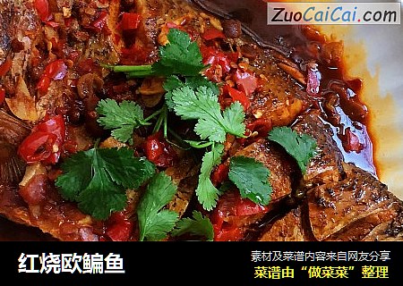 红烧欧鳊鱼