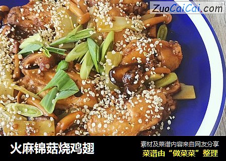 火麻锦菇烧鸡翅