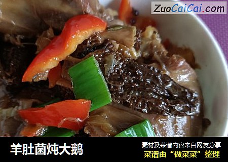 羊肚菌炖大鹅