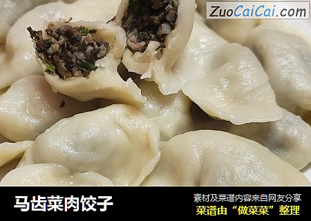 马齿菜肉饺子