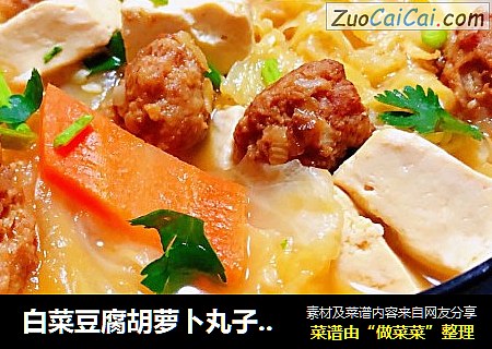 白菜豆腐胡萝卜丸子汤#白菜#