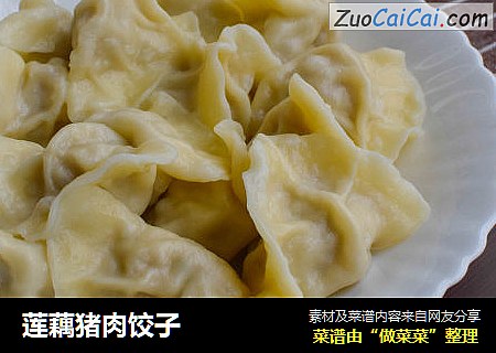 莲藕猪肉饺子