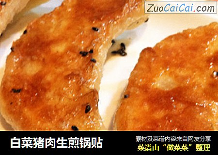 白菜猪肉生煎锅贴