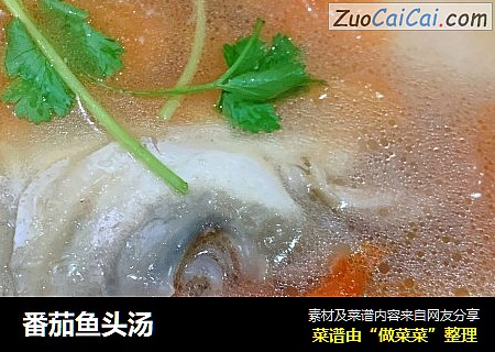 番茄鱼头汤