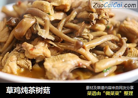 草鸡炖茶树菇