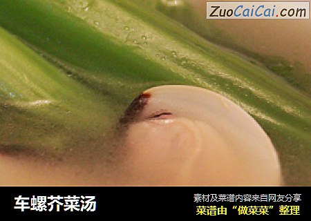 车螺芥菜汤