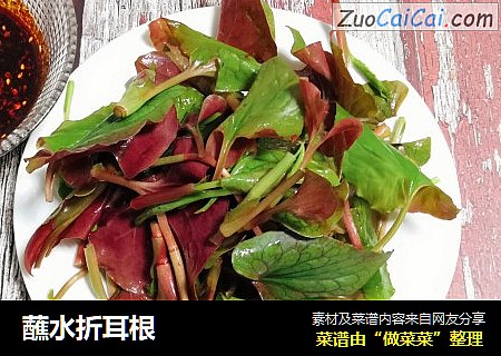 蘸水折耳根