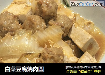 白菜豆腐烧肉圆