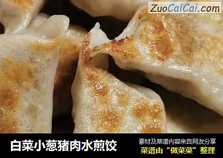 白菜小葱猪肉水煎饺