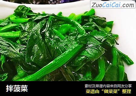 拌菠菜