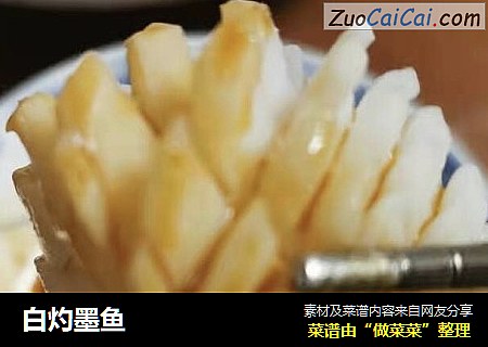 白灼墨鱼