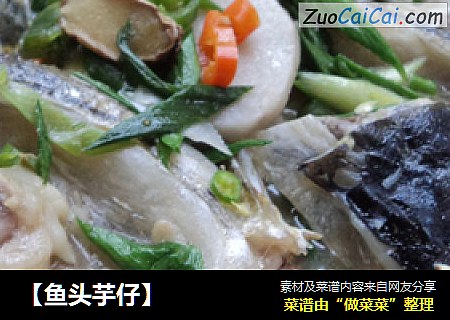 【鱼头芋仔】