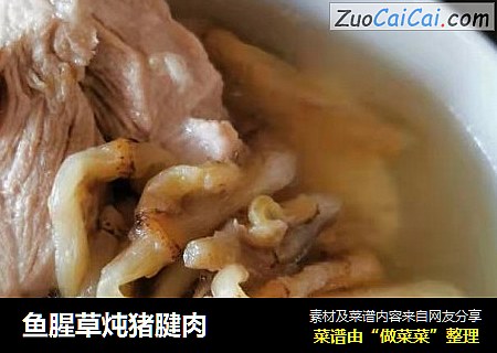 鱼腥草炖猪腱肉