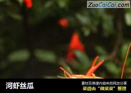 河虾丝瓜