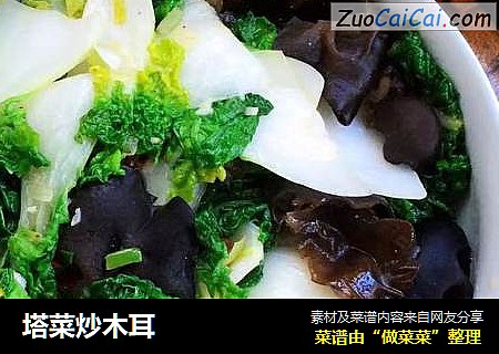 塔菜炒木耳