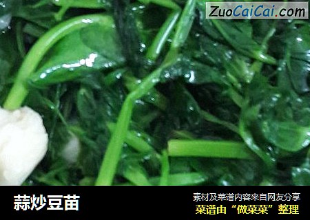 蒜炒豆苗