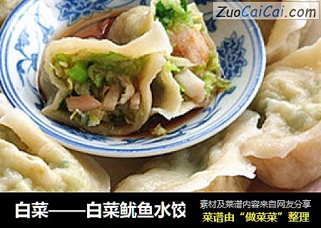 白菜——白菜鱿鱼水饺