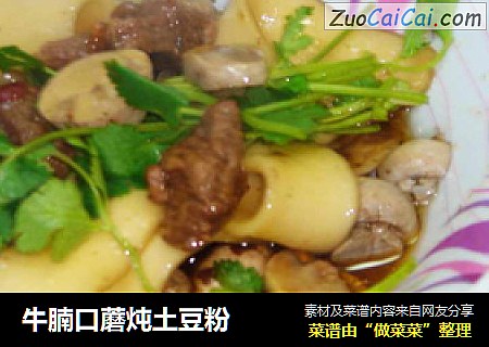 牛腩口蘑炖土豆粉